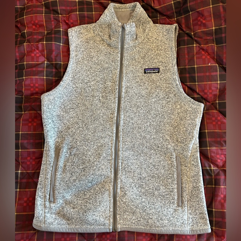 Patagonia Gray Fleece Vest